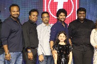 Hi Nanna Movie Success Celebrations Photos